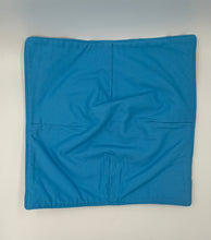 Load image into Gallery viewer, Dino-mite Boho Plate Cozie