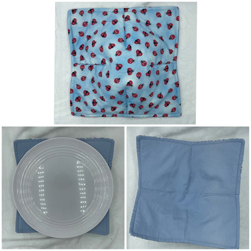 Blue Ladybug Plate Cozie