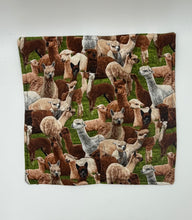 Load image into Gallery viewer, Llama Boho Plate Cozie
