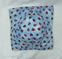 Load image into Gallery viewer, Blue Ladybug Large Bowl Cozie