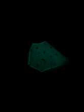 Load image into Gallery viewer, Glow in the dark reversible cape for large porch goose