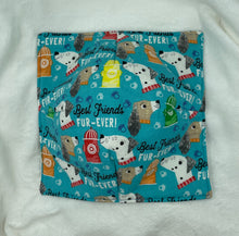 Load image into Gallery viewer, Best Friends Fur-Ever Boho Bowl Cozie