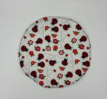 Load image into Gallery viewer, Ladybug Boho Kickin Kleaner