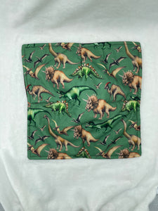 Green Dino Plate Cozie