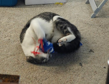 Load image into Gallery viewer, Large Frog Kitty Kicker with Catnip