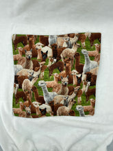 Load image into Gallery viewer, Llama Plate Cozie