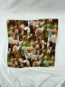 Llama Plate Cozie