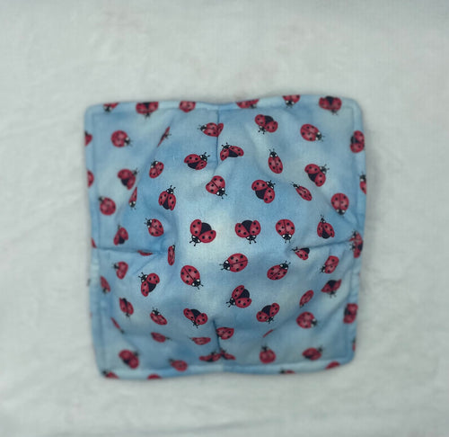 Blue ladybug plate Cozie