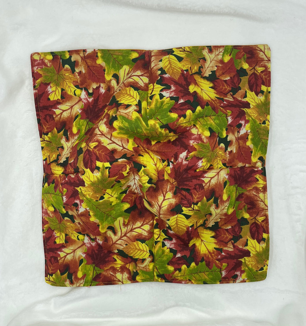 Autumn Leaves Boho Plate Cozie