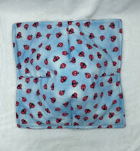 Load image into Gallery viewer, Blue Ladybug Plate Cozie