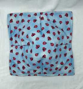 Blue Ladybug Plate Cozie